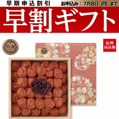 【期間限定・早割】