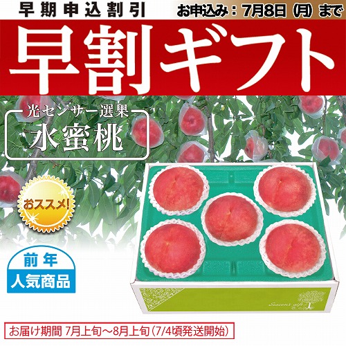 【期間限定・早割】