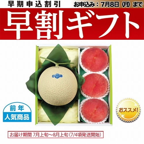 【期間限定・早割】