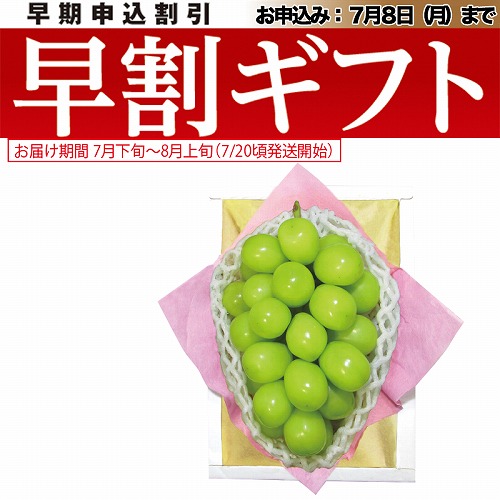 【期間限定・早割】