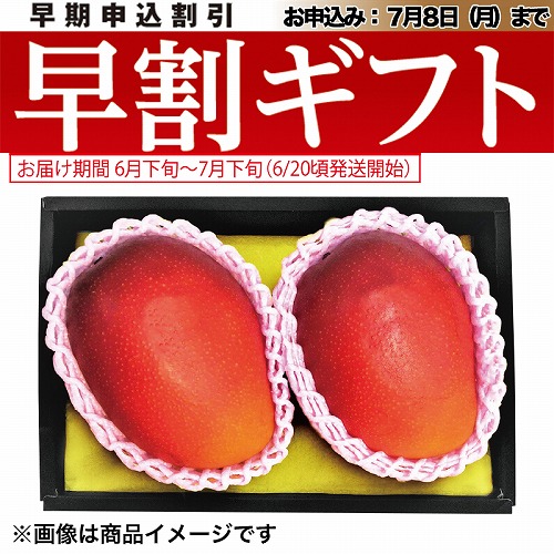 【期間限定・早割】