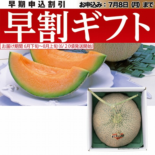 【期間限定・早割】