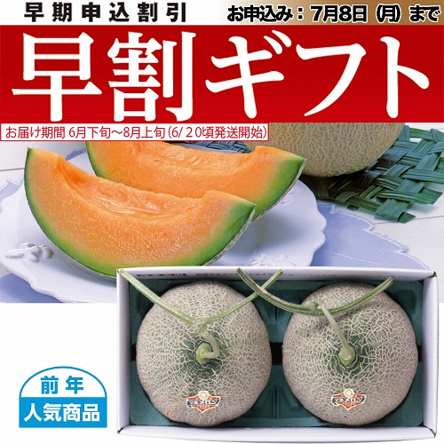 【期間限定・早割】