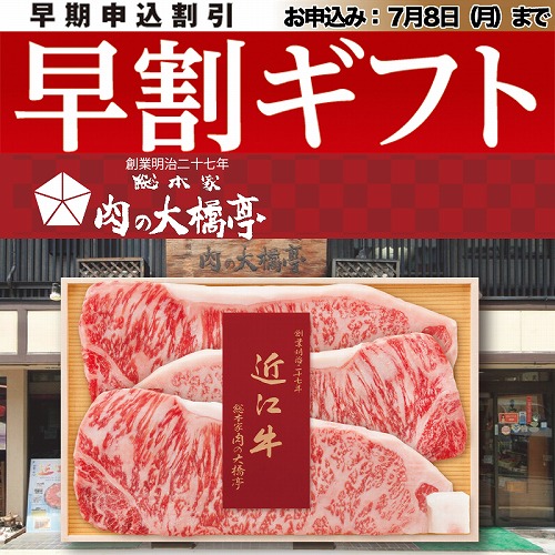 【期間限定・早割】