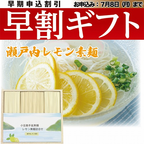 【期間限定・早割】