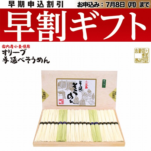 【期間限定・早割】