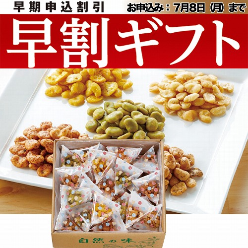 【期間限定・早割】