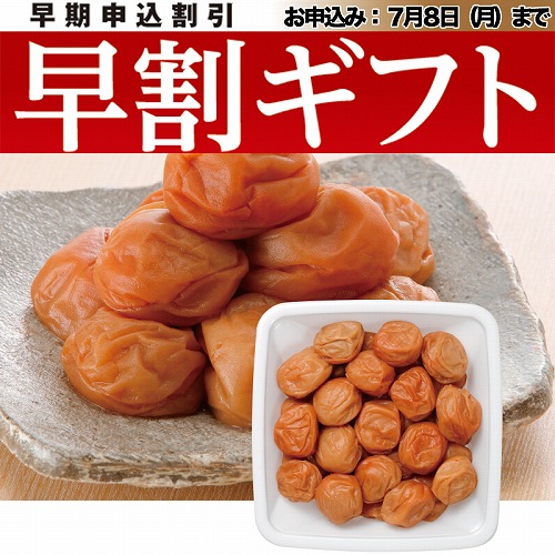 【期間限定・早割】