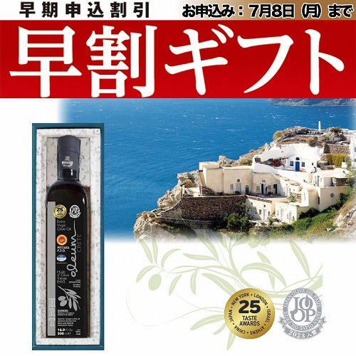 【期間限定・早割】