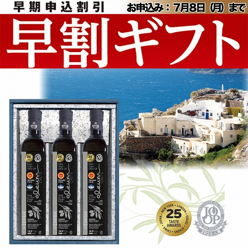 【期間限定・早割】