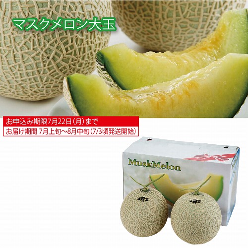 愛知県産マスクメロン２個