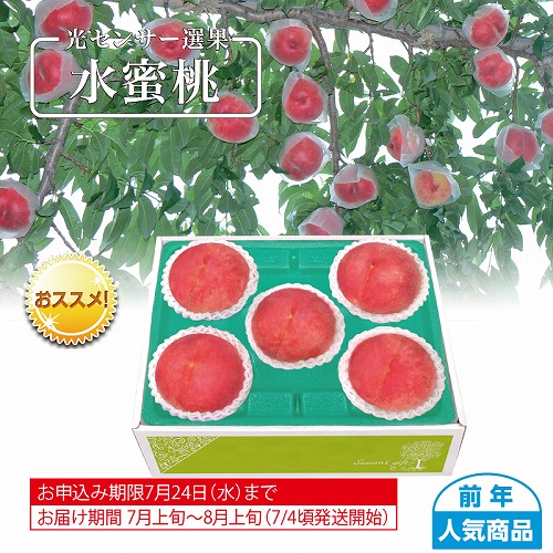 山梨又は福島県産