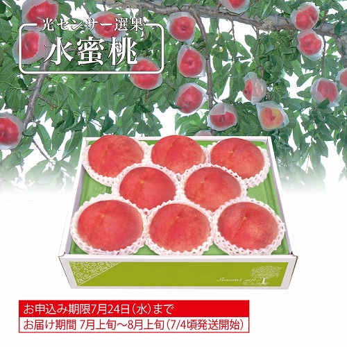 山梨又は福島県産