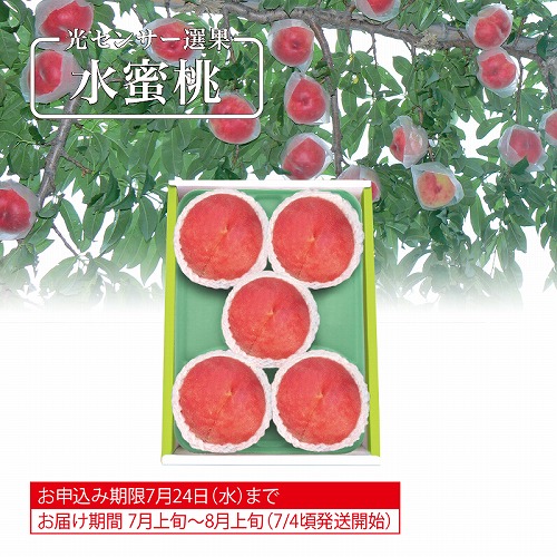 山梨又は福島県産