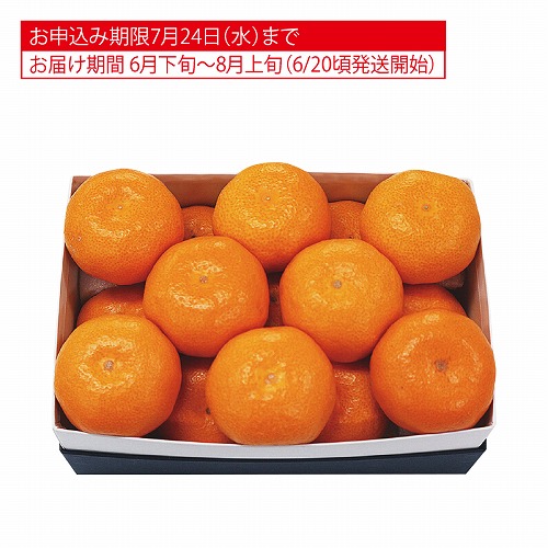 大分県又は佐賀県産