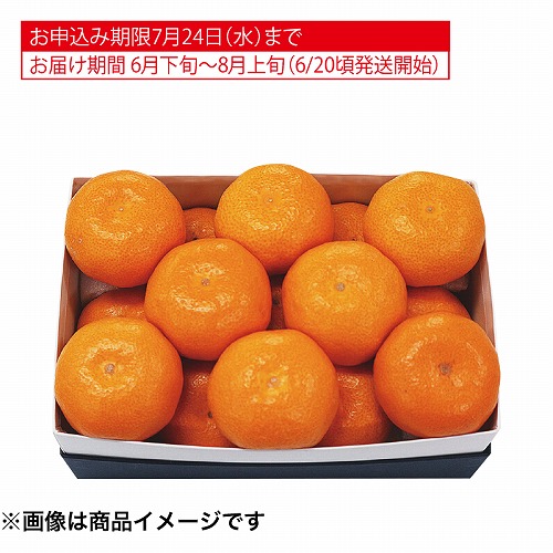 大分県又は佐賀県産