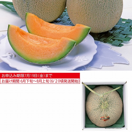 夕張メロン１．５ｋｇ