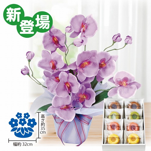 光触媒アレンジフラワー