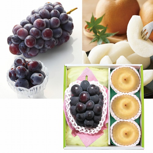 種なし巨峰＆豊水梨