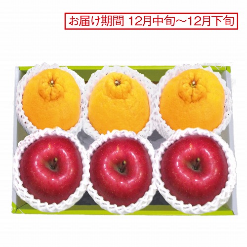 デコポン＆サンふじりんご