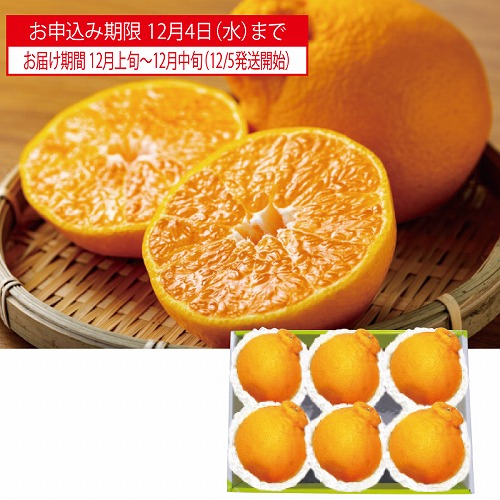 熊本・佐賀県産