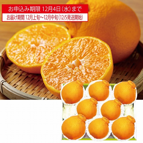 熊本・佐賀県産