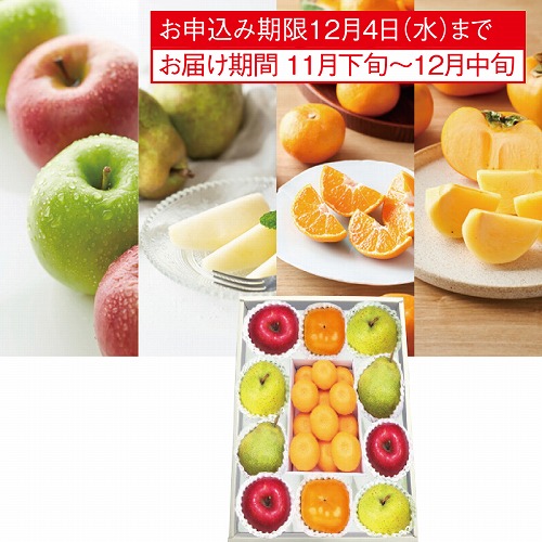 冬の旬の果物詰合せ