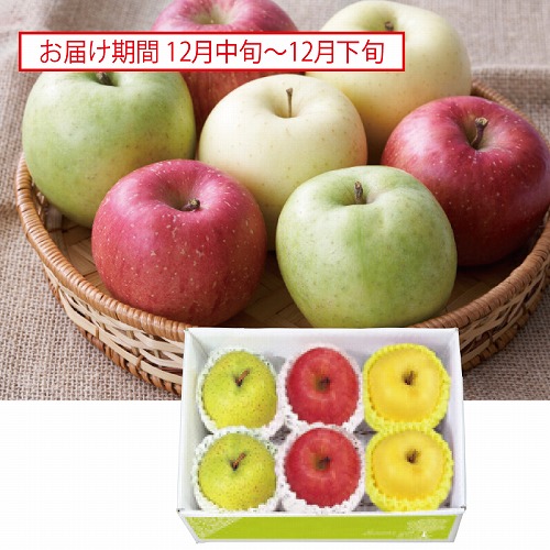 季節のりんご３種セット