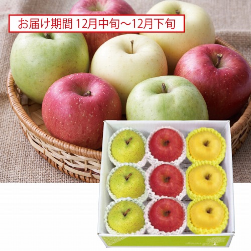 季節のりんご３種セット