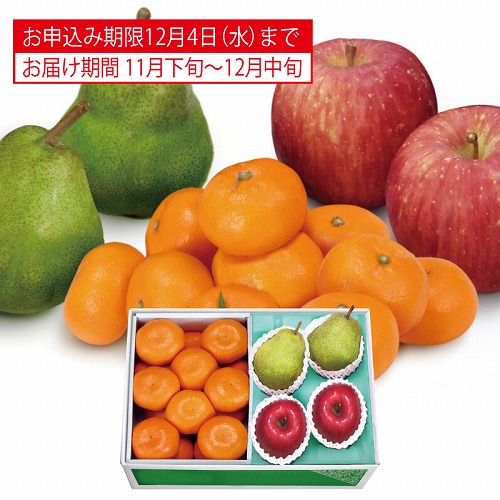 冬のフルーツ旬果詰合せ