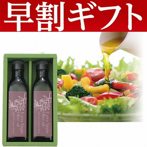 【期間限定・早割】