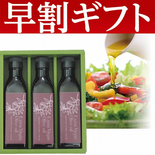 【期間限定・早割】