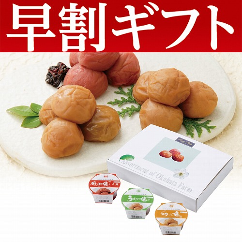 【期間限定・早割】