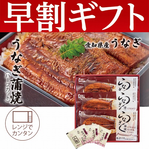 【期間限定・早割】