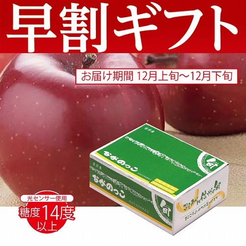 【期間限定・早割】