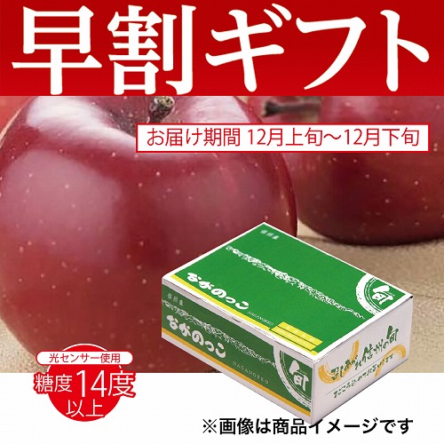 【期間限定・早割】