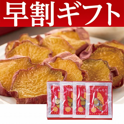 【期間限定・早割】