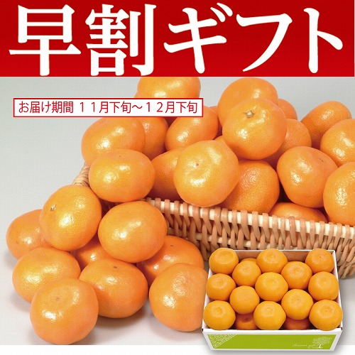 【期間限定・早割】