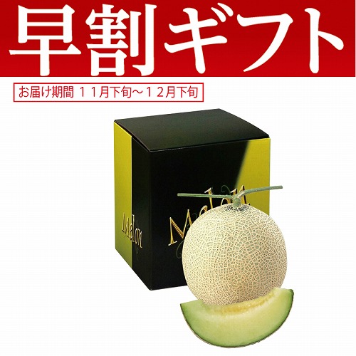 【期間限定・早割】