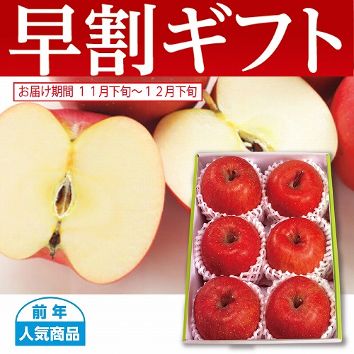 【期間限定・早割】