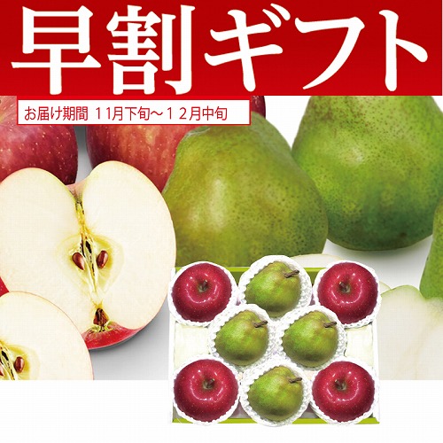 【期間限定・早割】