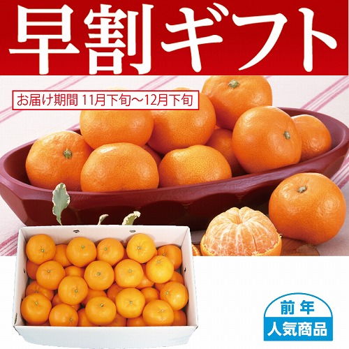 【期間限定・早割】