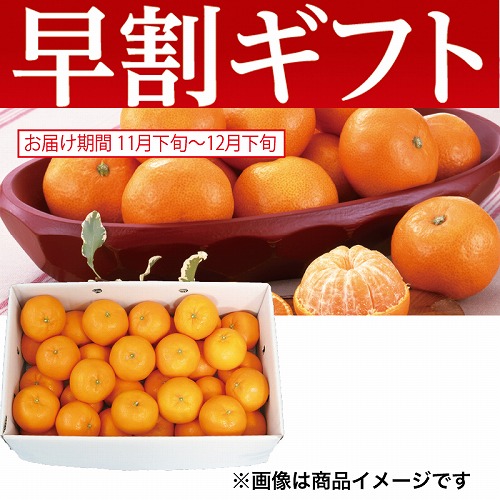 【期間限定・早割】