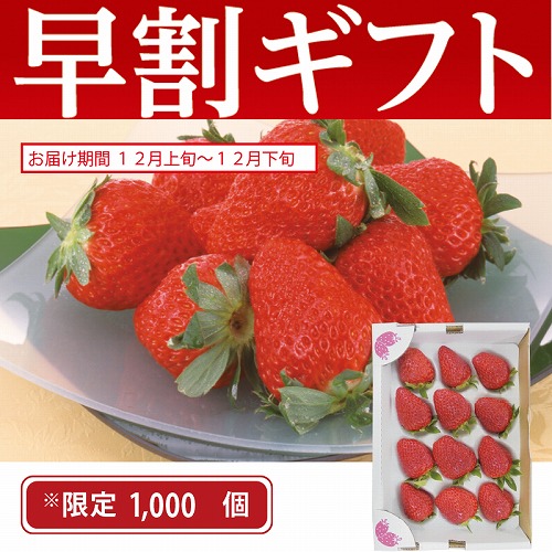 【期間限定・早割】