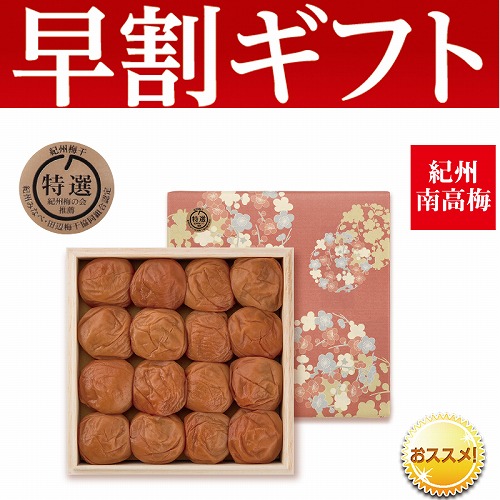 【期間限定・早割】