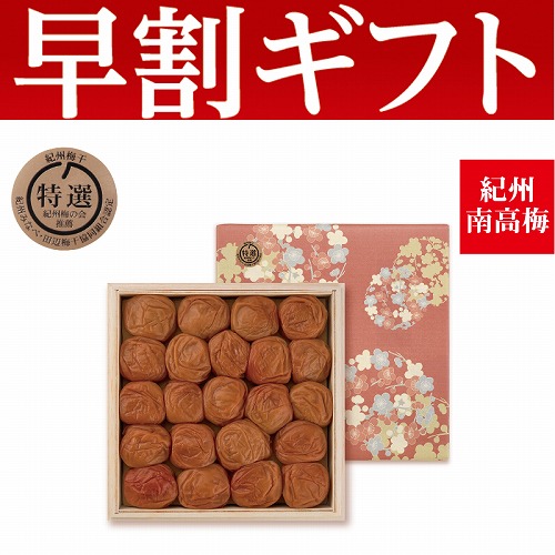 【期間限定・早割】