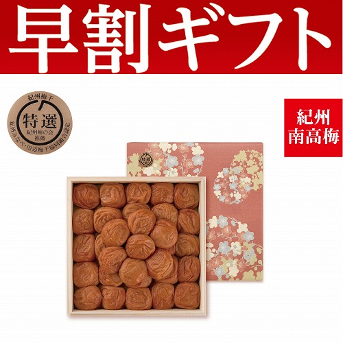 【期間限定・早割】