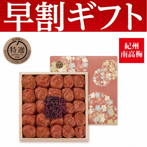 【期間限定・早割】