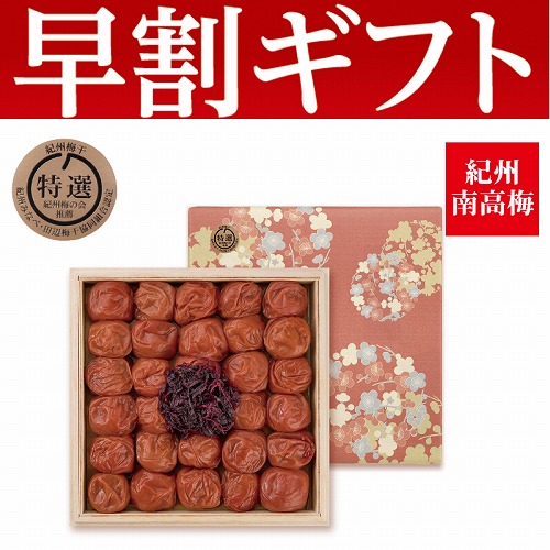 【期間限定・早割】