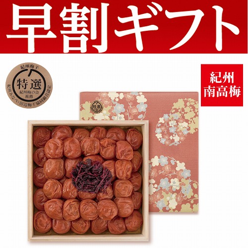 【期間限定・早割】